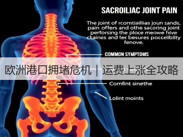 欧洲港口拥堵危机|运费上涨全攻略(图1) 欧洲港口拥堵危机|运费上涨全攻略(图1)