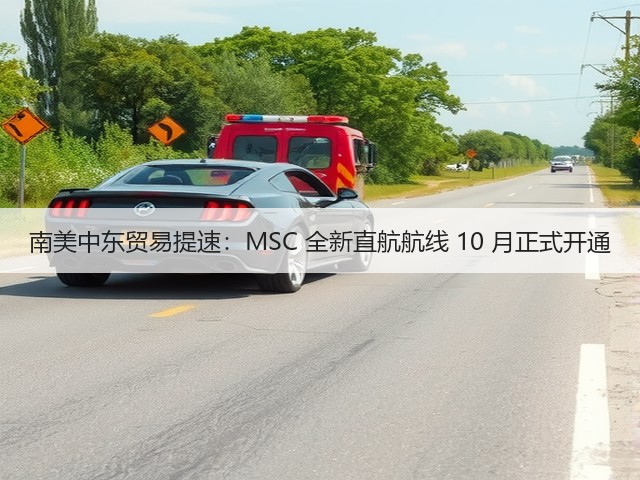 南美中东贸易提速:MSC 全新直航航线 10 月正式开通(图2) 南美中东贸易提速:MSC 全新直航航线 10 月正式开通(图2)