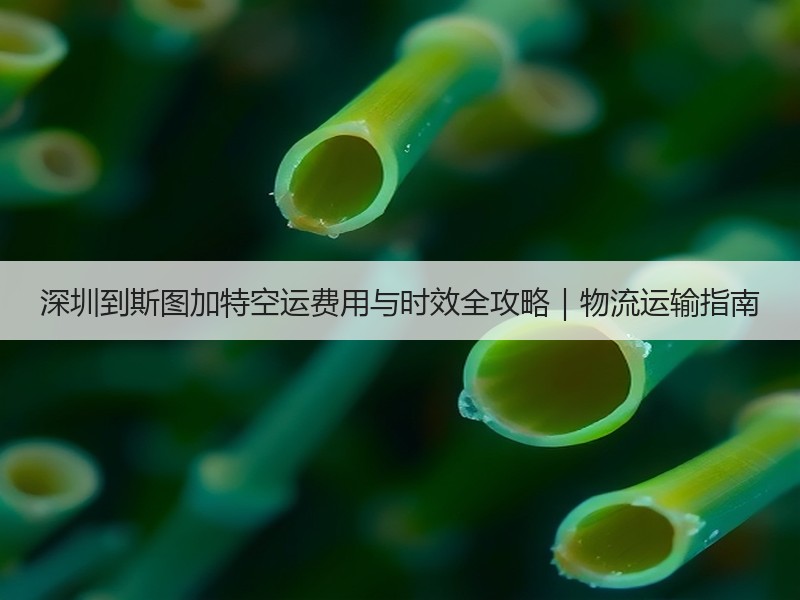 深圳到斯图加特空运费用与时效全攻略|物流运输指南 深圳到斯图加特空运费用与时效全攻略|物流运输指南