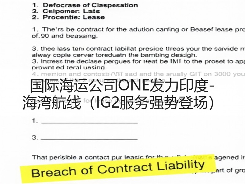 国际海运公司ONE发力印度-海湾航线(IG2服务强势登场) 国际海运公司ONE发力印度-海湾航线(IG2服务强势登场)
