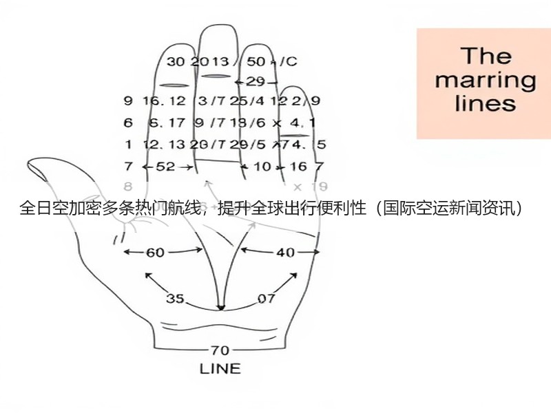 全日空加密多条热门航线，提升全球出行便利性（国际空运新闻资讯）