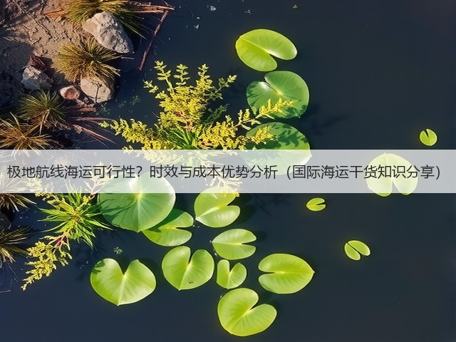 极地航线海运可行性?时效与成本优势分析(国际海运干货知识分享)(图3) 极地航线海运可行性?时效与成本优势分析(国际海运干货知识分享)(图3)