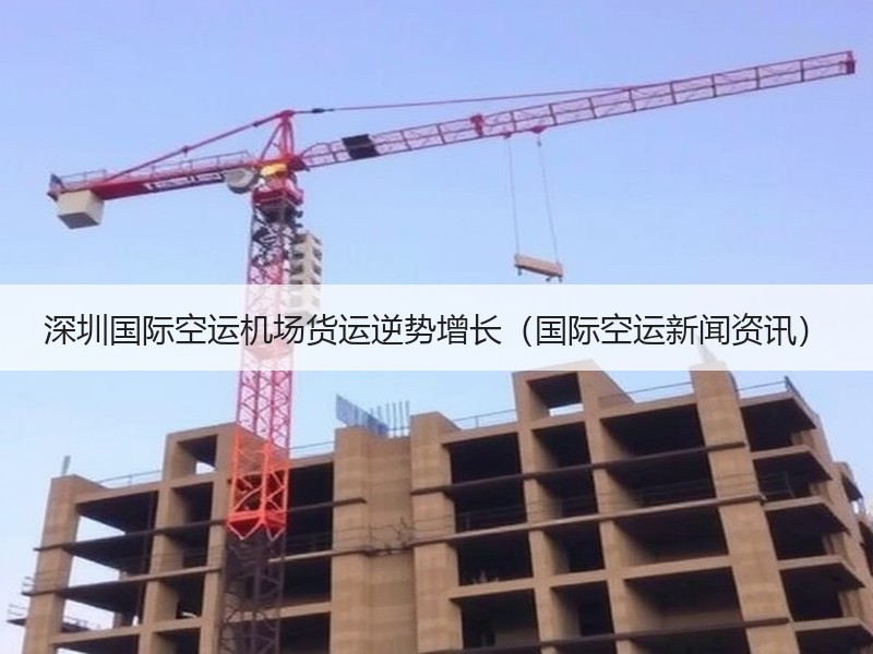 深圳国际空运机场货运逆势增长(国际空运新闻资讯) 深圳国际空运机场货运逆势增长(国际空运新闻资讯)