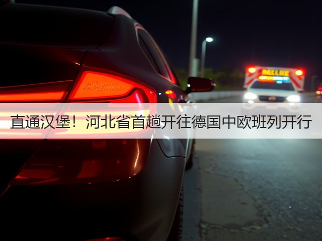 直通汉堡！河北省首趟开往德国中欧班列开行(图2)