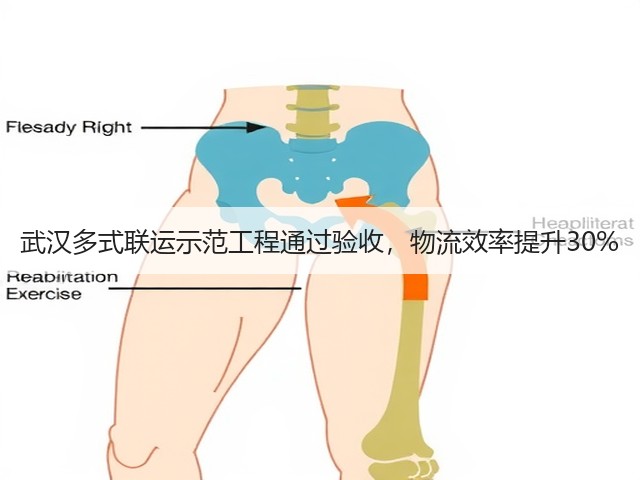 武汉多式联运示范工程通过验收，物流效率提升30%(图2)