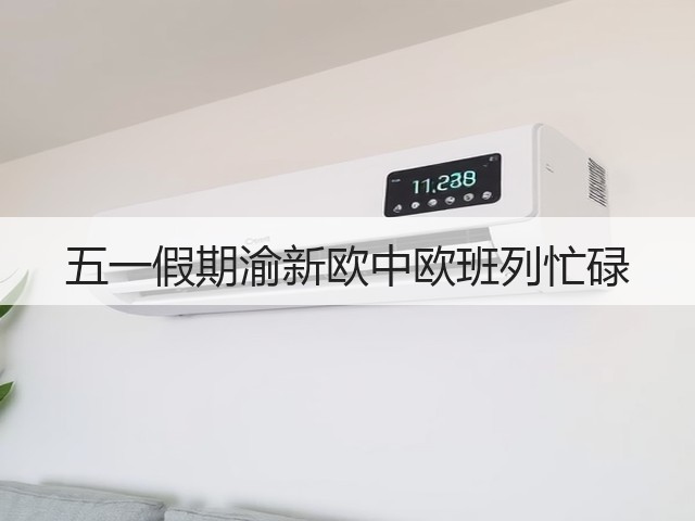 五一假期渝新欧中欧班列忙碌(图3)