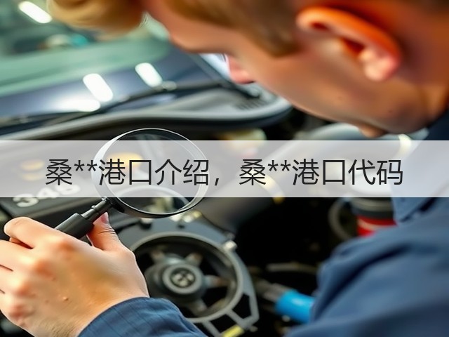 桑**港口介绍,桑**港口代码(图3) 桑**港口介绍,桑**港口代码(图3)