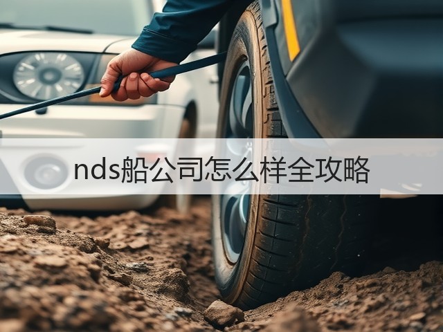 nds船公司怎么样全攻略(图1) nds船公司怎么样全攻略(图1)
