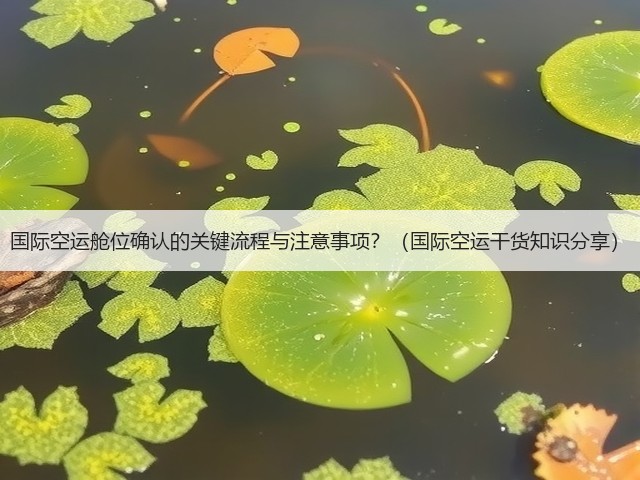 国际空运舱位确认的关键流程与注意事项?(国际空运干货知识分享)(图1) 国际空运舱位确认的关键流程与注意事项?(国际空运干货知识分享)(图1)