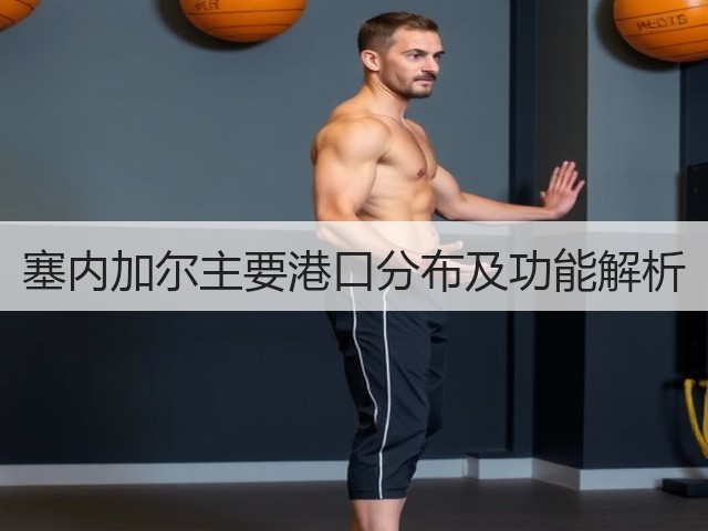 塞内加尔主要港口分布及功能解析(图3) 塞内加尔主要港口分布及功能解析(图3)