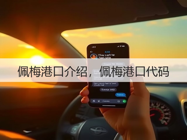 佩梅港口介绍,佩梅港口代码(图2) 佩梅港口介绍,佩梅港口代码(图2)