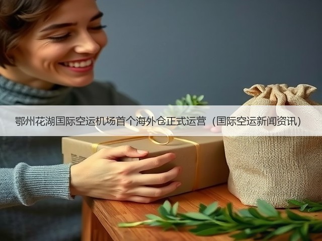 鄂州花湖国际空运机场首个海外仓正式运营(国际空运新闻资讯)(图3) 鄂州花湖国际空运机场首个海外仓正式运营(国际空运新闻资讯)(图3)