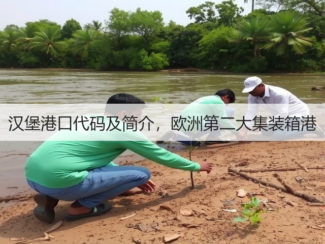 汉堡港口代码及简介,欧洲第二大集装箱港(图1) 汉堡港口代码及简介,欧洲第二大集装箱港(图1)