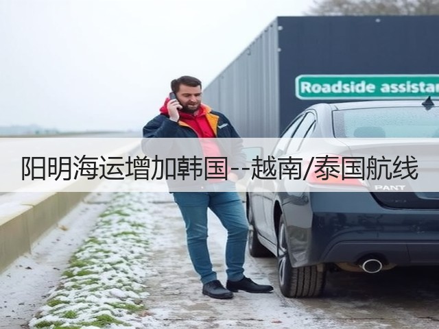 阳明海运增加韩国--越南/泰国航线(图1)