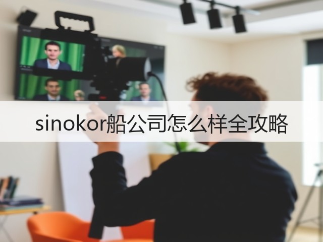 sinokor船公司怎么样全攻略(图3) sinokor船公司怎么样全攻略(图3)