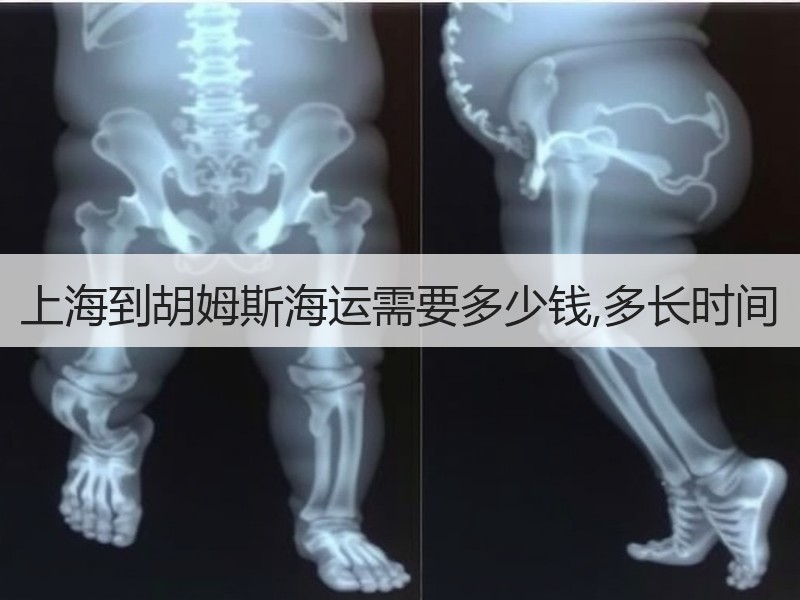 上海到胡姆斯海运需要多少钱,多长时间