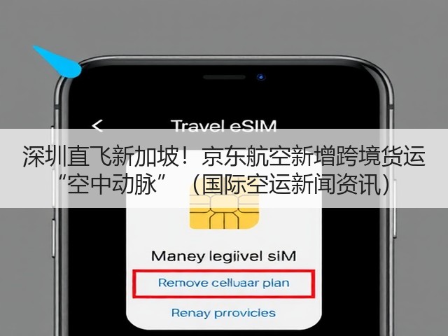 深圳直飞新加坡!京东航空新增跨境货运 “空中动脉”(国际空运新闻资讯)(图2) 深圳直飞新加坡!京东航空新增跨境货运 “空中动脉”(国际空运新闻资讯)(图2)