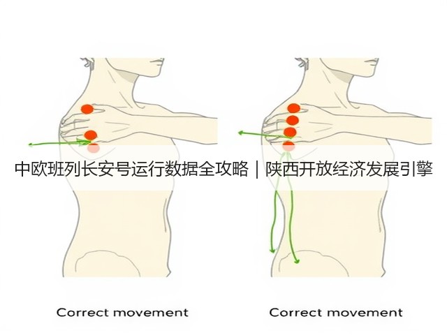 中欧班列长安号运行数据全攻略|陕西开放经济发展引擎(图2) 中欧班列长安号运行数据全攻略|陕西开放经济发展引擎(图2)