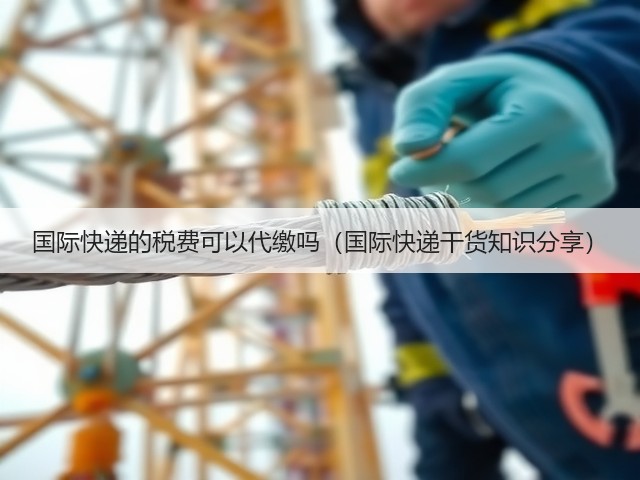 国际快递的税费可以代缴吗(国际快递干货知识分享)(图3) 国际快递的税费可以代缴吗(国际快递干货知识分享)(图3)