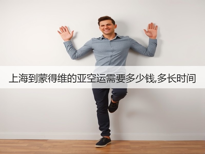 上海到蒙得维的亚空运需要多少钱,多长时间