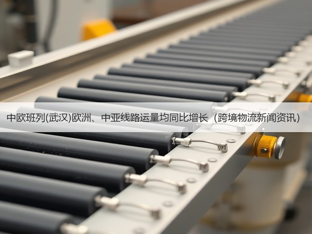 中欧班列(武汉)欧洲、中亚线路运量均同比增长(跨境物流新闻资讯)(图2) 中欧班列(武汉)欧洲、中亚线路运量均同比增长(跨境物流新闻资讯)(图2)