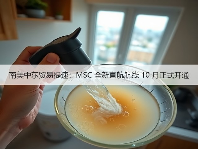南美中东贸易提速:MSC 全新直航航线 10 月正式开通(图1) 南美中东贸易提速:MSC 全新直航航线 10 月正式开通(图1)