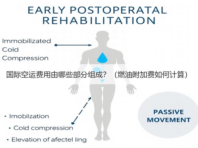 国际空运费用由哪些部分组成?(燃油附加费如何计算)(图1) 国际空运费用由哪些部分组成?(燃油附加费如何计算)(图1)