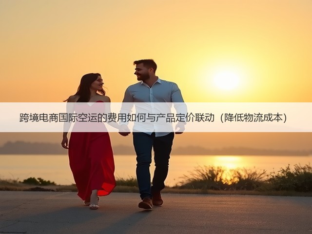 跨境电商国际空运的费用如何与产品定价联动(降低物流成本)(图3) 跨境电商国际空运的费用如何与产品定价联动(降低物流成本)(图3)