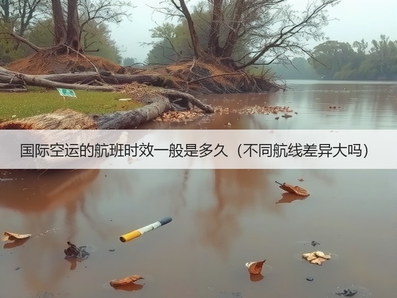 国际空运的航班时效一般是多久（不同航线差异大吗）