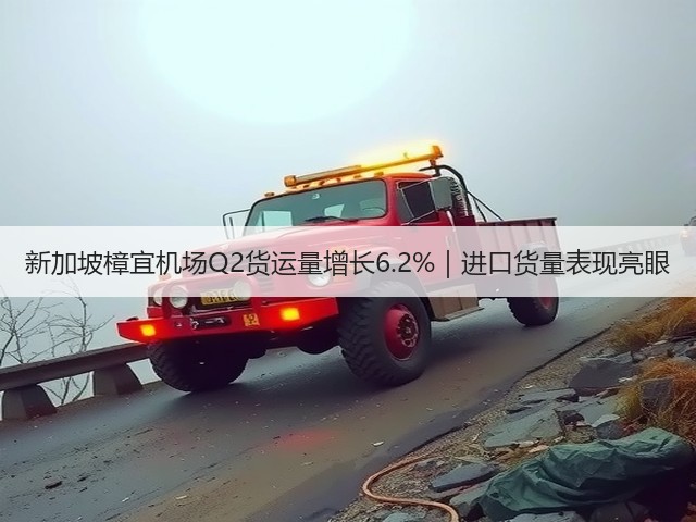 新加坡樟宜机场Q2货运量增长6.2%|进口货量表现亮眼(图1) 新加坡樟宜机场Q2货运量增长6.2%|进口货量表现亮眼(图1)