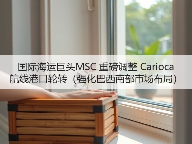 国际海运巨头MSC 重磅调整 Carioca 航线港口轮转(强化巴西南部市场布局)(图2) 国际海运巨头MSC 重磅调整 Carioca 航线港口轮转(强化巴西南部市场布局)(图2)