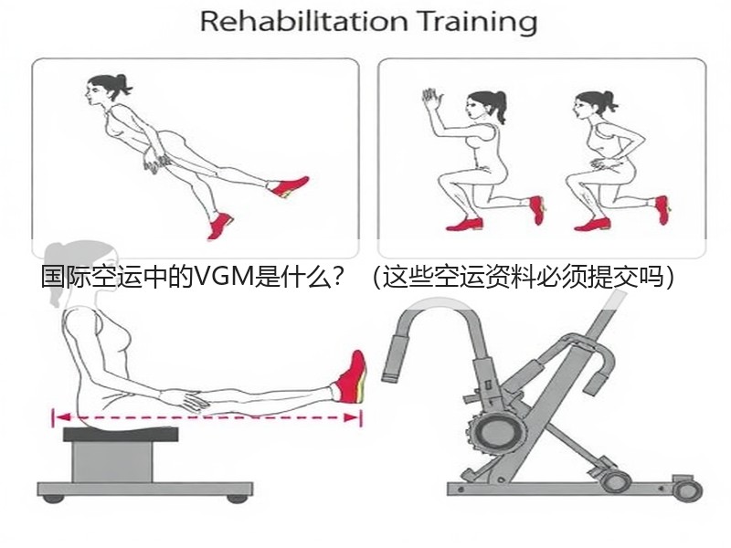 国际空运中的VGM是什么？（这些空运资料必须提交吗）