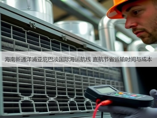 海南新通洋浦亚庇巴淡国际海运航线 直航节省运输时间与成本(图1)