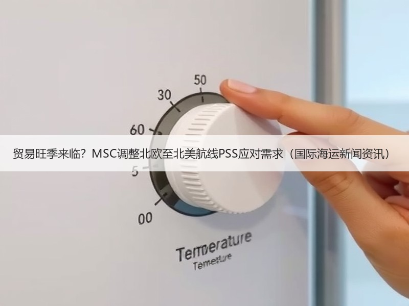 贸易旺季来临?MSC调整北欧至北美航线PSS应对需求(国际海运新闻资讯) 贸易旺季来临?MSC调整北欧至北美航线PSS应对需求(国际海运新闻资讯)