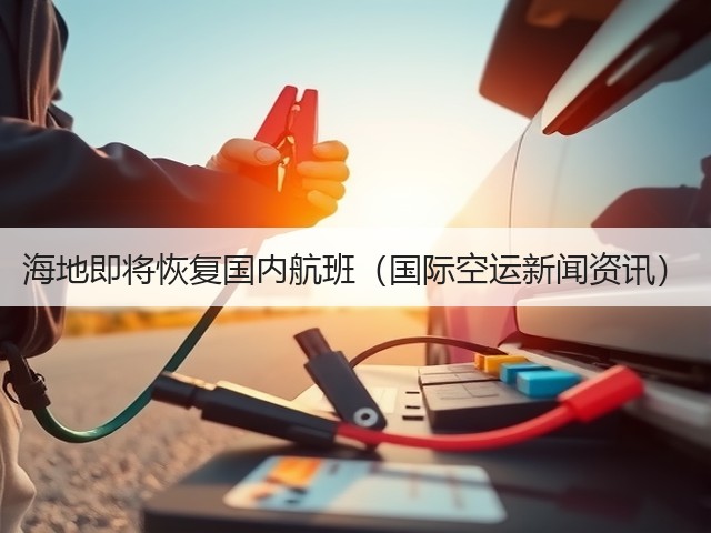 海地即将恢复国内航班(国际空运新闻资讯)(图2) 海地即将恢复国内航班(国际空运新闻资讯)(图2)