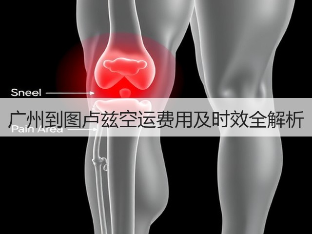 广州到图卢兹空运费用及时效全解析(图3)