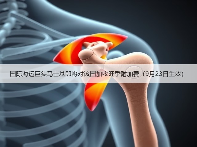 国际海运巨头马士基即将对该国加收旺季附加费（9月23日生效）(图2)