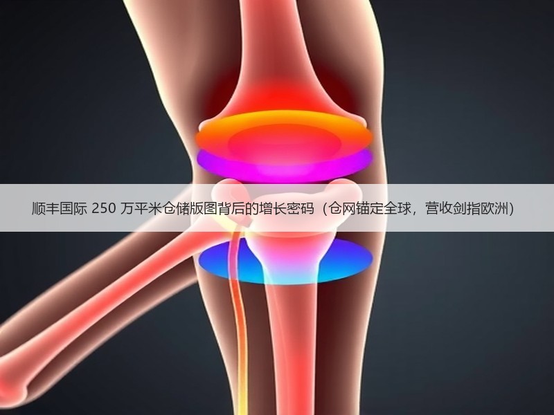 顺丰国际 250 万平米仓储版图背后的增长密码(仓网锚定全球,营收剑指欧洲) 顺丰国际 250 万平米仓储版图背后的增长密码(仓网锚定全球,营收剑指欧洲)