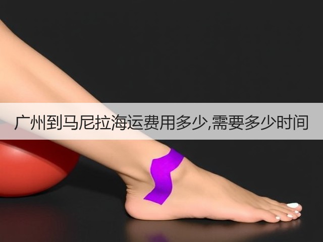 广州到马尼拉海运费用多少,需要多少时间(图1) 广州到马尼拉海运费用多少,需要多少时间(图1)