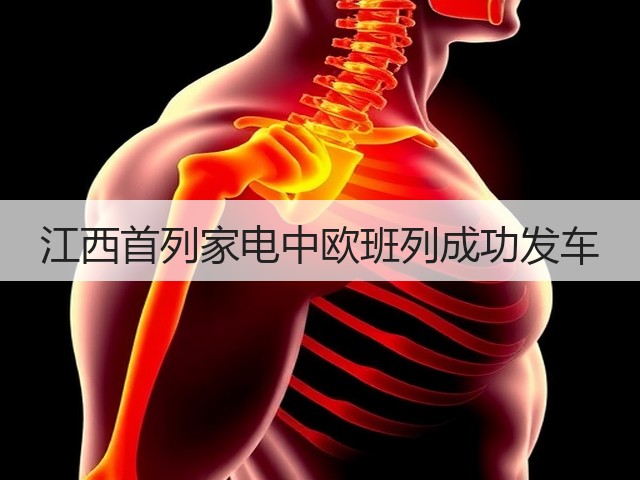 江西首列家电中欧班列成功发车(图2) 江西首列家电中欧班列成功发车(图2)