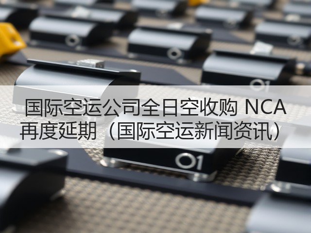 国际空运公司全日空收购 NCA 再度延期（国际空运新闻资讯）(图2)