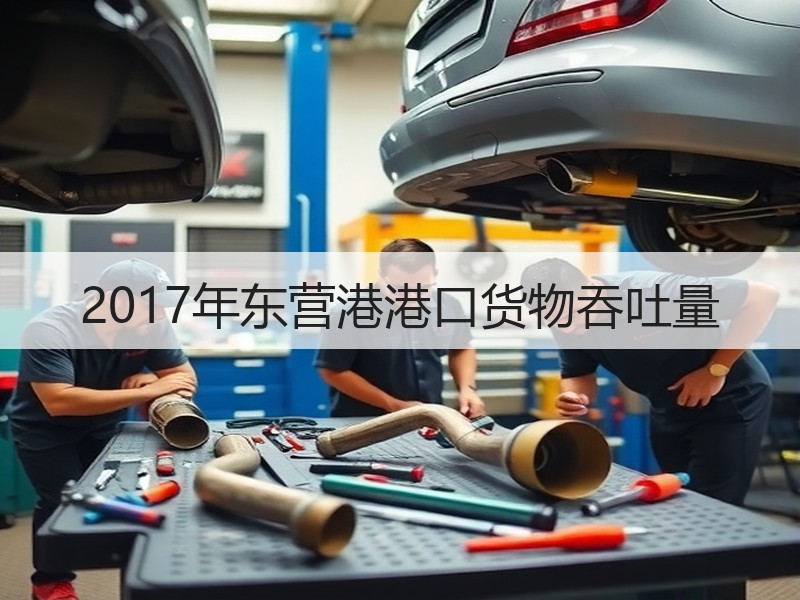 2017年东营港港口货物吞吐量
