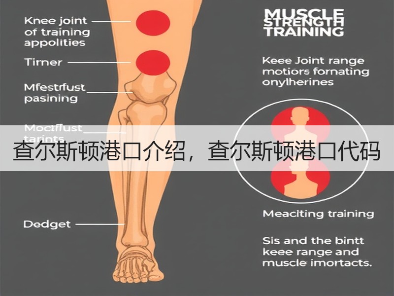 查尔斯顿港口介绍，查尔斯顿港口代码