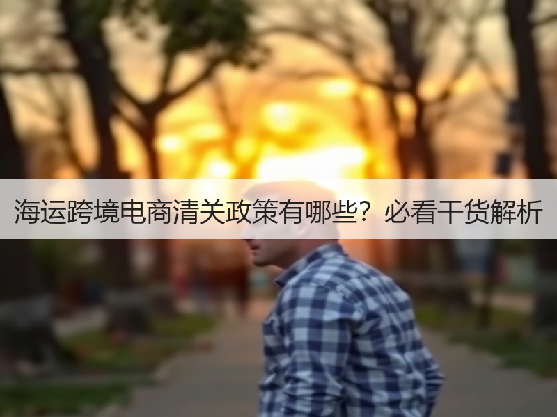 海运跨境电商清关政策有哪些？必看干货解析