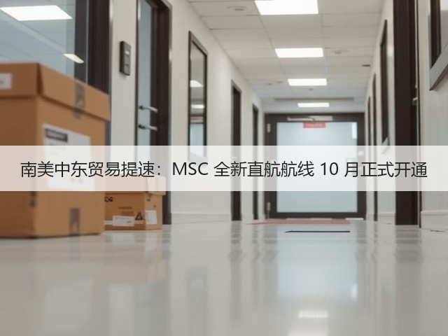 南美中东贸易提速:MSC 全新直航航线 10 月正式开通(图1) 南美中东贸易提速:MSC 全新直航航线 10 月正式开通(图1)