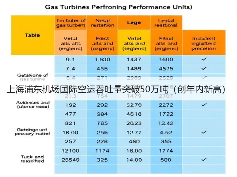 上海浦东机场国际空运吞吐量突破50万吨(创年内新高) 上海浦东机场国际空运吞吐量突破50万吨(创年内新高)