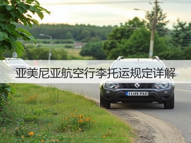 亚美尼亚航空行李托运规定详解