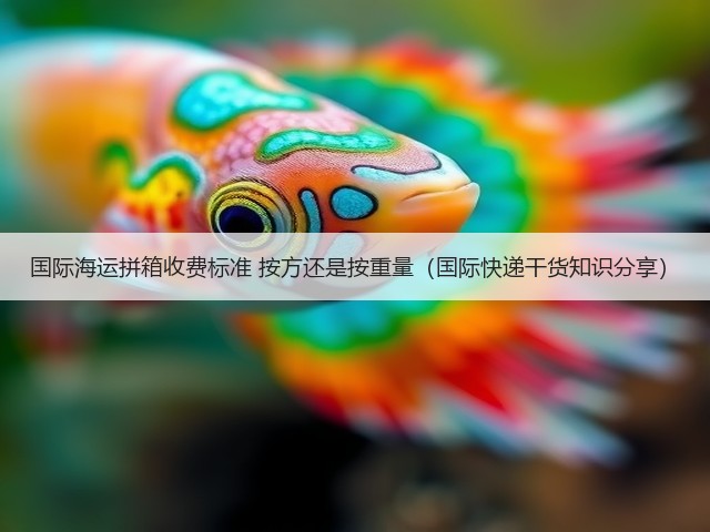 国际海运拼箱收费标准 按方还是按重量(国际快递干货知识分享)(图1) 国际海运拼箱收费标准 按方还是按重量(国际快递干货知识分享)(图1)