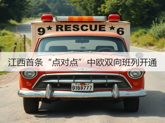 江西首条“点对点”中欧双向班列开通(图3)