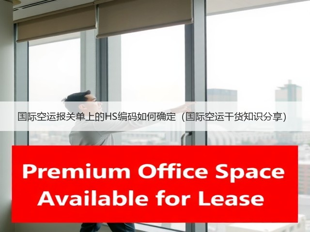 国际空运报关单上的HS编码如何确定(国际空运干货知识分享)(图3) 国际空运报关单上的HS编码如何确定(国际空运干货知识分享)(图3)